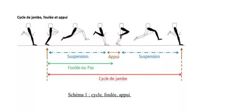 Biomécanique de la course, schéma
Soins rando survie